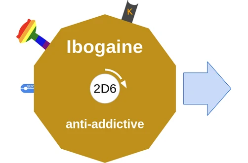 Ibogaine ballicule — decagon mechanism diagram