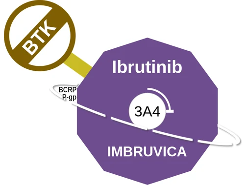 Ibrutinib ballicule: receptor binding, kinetics and half-life diagram