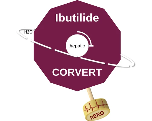 Ibutilide ballicule: receptor binding, kinetics and half-life diagram