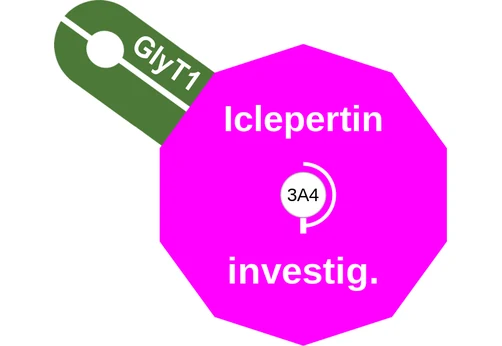 Iclepertin ballicule: receptor binding, kinetics and half-life diagram