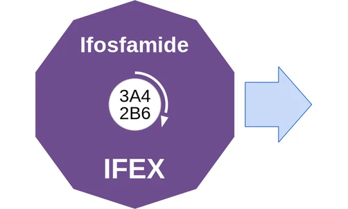 Ifosfamide ballicule — decagon mechanism diagram