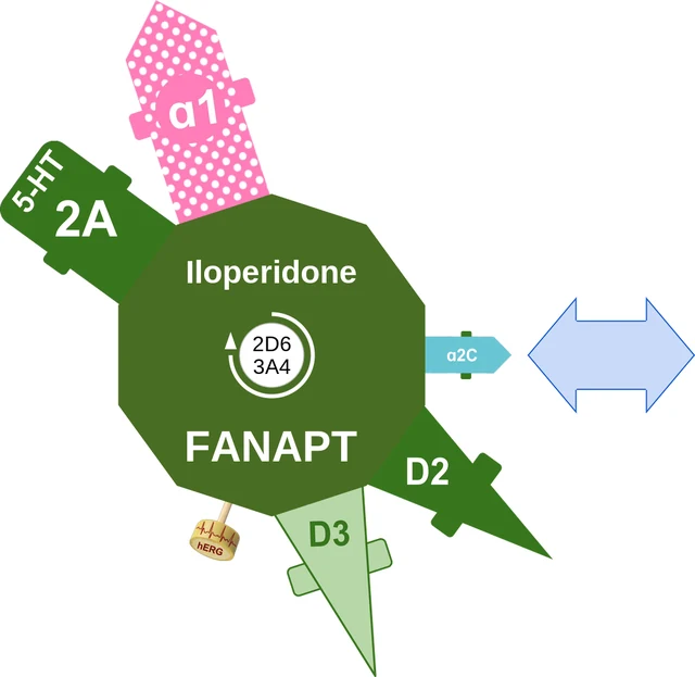 Iloperidone ballicule: receptor binding, kinetics and half-life diagram
