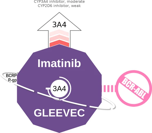 Imatinib ballicule: receptor binding, kinetics and half-life diagram