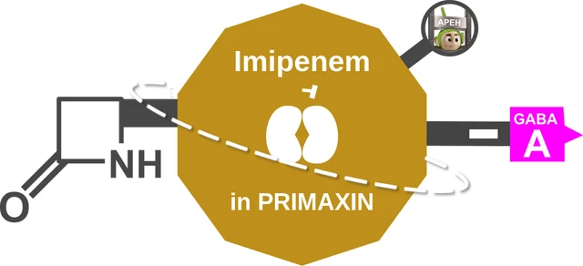 Imipenem ballicule: receptor binding, kinetics and half-life diagram