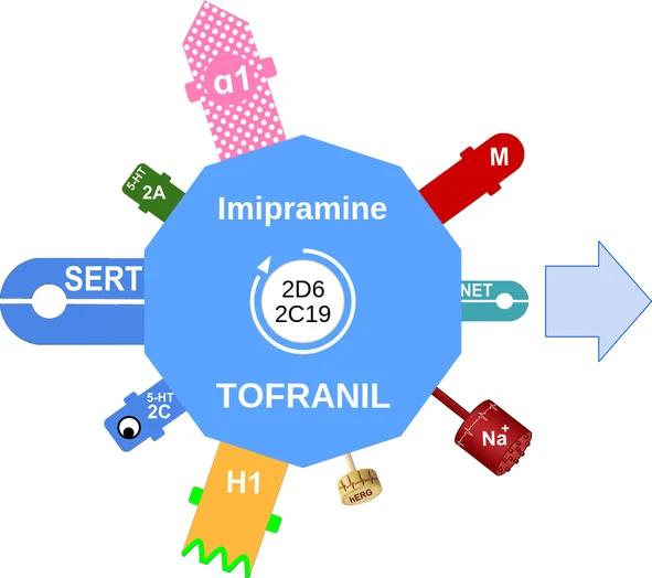 Imipramine ballicule — decagon mechanism diagram