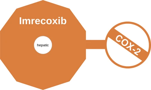 Imrecoxib ballicule: receptor binding, kinetics and half-life diagram
