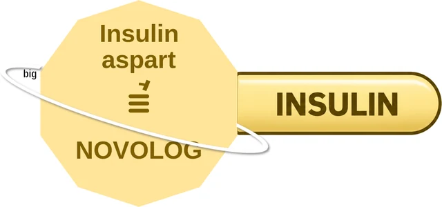 Insulin aspart ballicule — decagon mechanism diagram