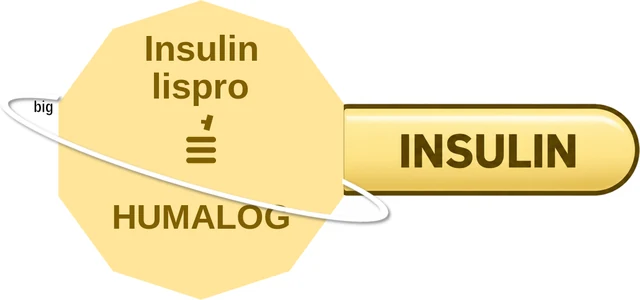 Insulin lispro ballicule: receptor binding, kinetics and half-life diagram