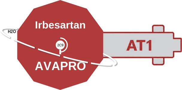 Irbesartan ballicule — decagon mechanism diagram