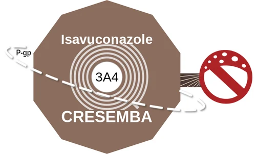 Isavuconazole ballicule: receptor binding, kinetics and half-life diagram