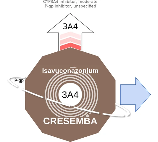 Isavuconazonium ballicule — decagon mechanism diagram
