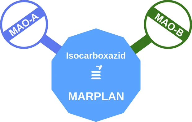 Isocarboxazid ballicule — decagon mechanism diagram