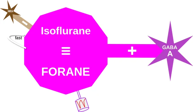 Isoflurane ballicule — decagon mechanism diagram