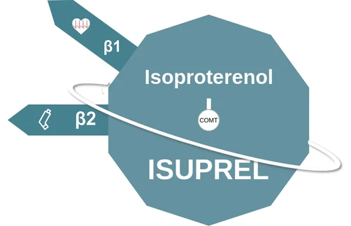 Isoproterenol ballicule — decagon mechanism diagram