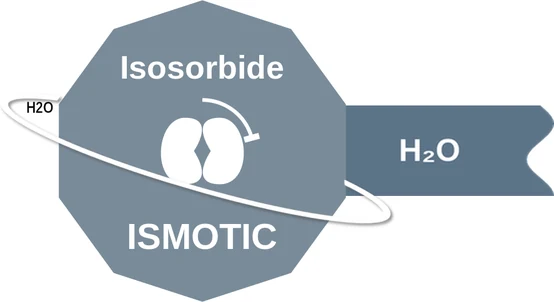 Isosorbide ballicule — decagon mechanism diagram