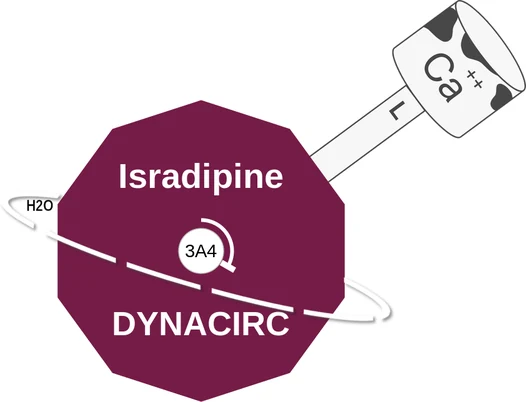 Isradipine ballicule — decagon mechanism diagram