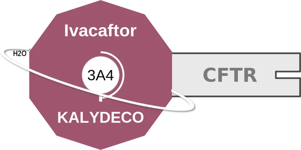 Ivacaftor ballicule — decagon mechanism diagram