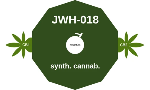 JWH-018 ballicule: receptor binding, kinetics and half-life diagram