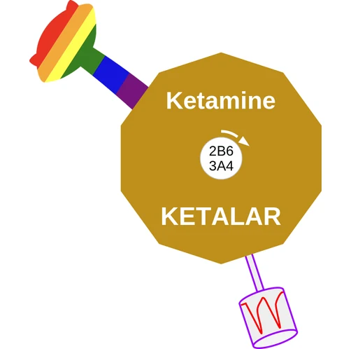 Ketamine ballicule — decagon mechanism diagram