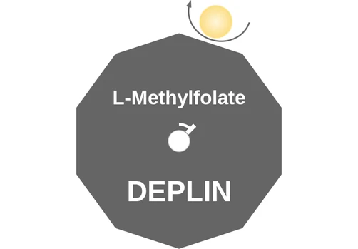 L-Methylfolate ballicule: receptor binding, kinetics and half-life diagram