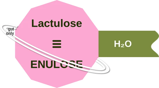 Lactulose ballicule: receptor binding, kinetics and half-life diagram