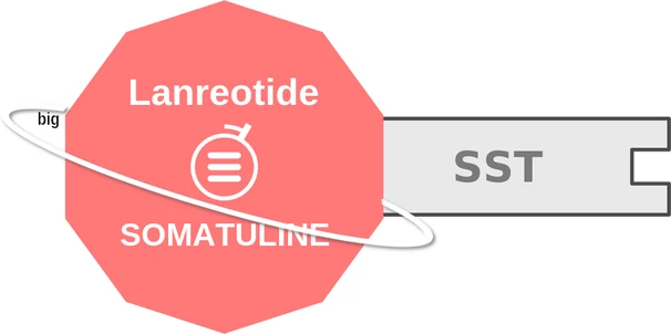 Lanreotide ballicule — decagon mechanism diagram