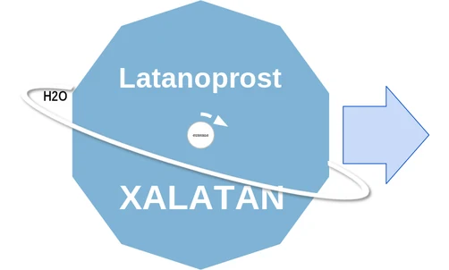 Latanoprost ballicule: receptor binding, kinetics and half-life diagram