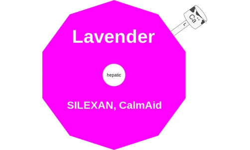 Lavender ballicule: receptor binding, kinetics and half-life diagram