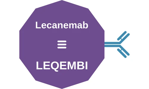 Lecanemab ballicule: receptor binding, kinetics and half-life diagram