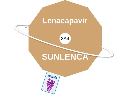 Lenacapavir ballicule: receptor binding, kinetics and half-life diagram