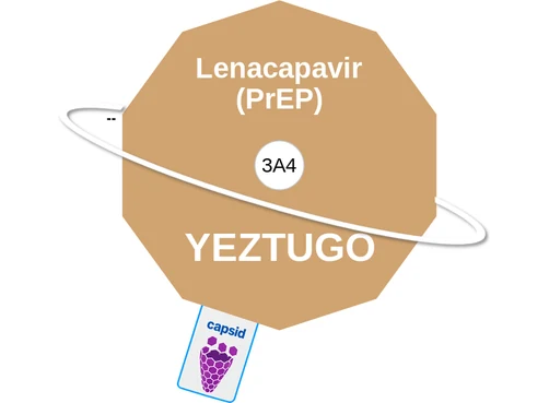 Lenacapavir (PrEP) ballicule: receptor binding, kinetics and half-life diagram