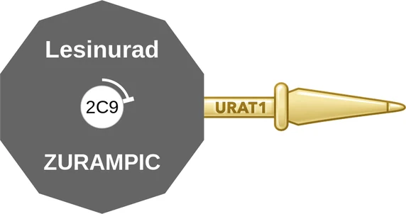 Lesinurad ballicule: receptor binding, kinetics and half-life diagram