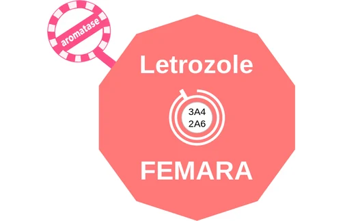 Letrozole ballicule: receptor binding, kinetics and half-life diagram