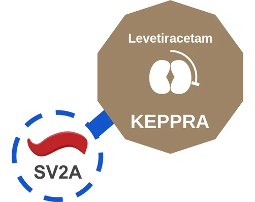 Levetiracetam ballicule — decagon mechanism diagram