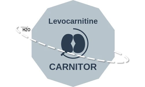 Levocarnitine ballicule — decagon mechanism diagram