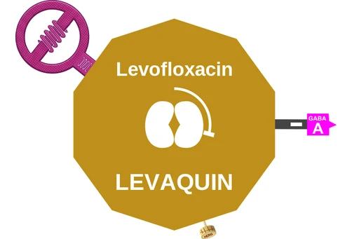Levofloxacin ballicule — decagon mechanism diagram