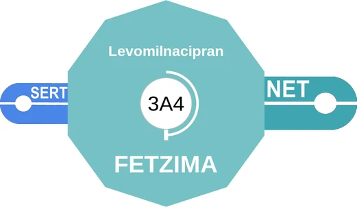 Levomilnacipran ballicule — decagon mechanism diagram