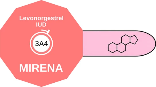 Levonorgestrel IUD ballicule: receptor binding, kinetics and half-life diagram