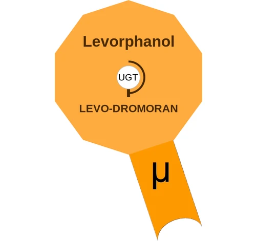 Levorphanol ballicule: receptor binding, kinetics and half-life diagram