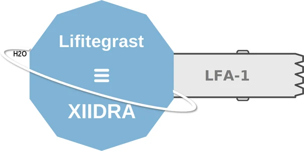 Lifitegrast ballicule — decagon diagram of its receptor and enzyme targets