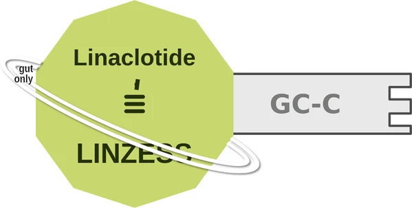 Linaclotide ballicule — decagon mechanism diagram