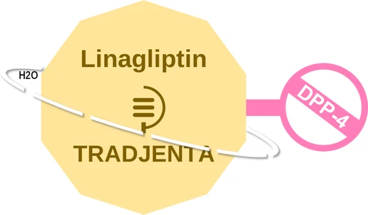 Linagliptin ballicule: receptor binding, kinetics and half-life diagram