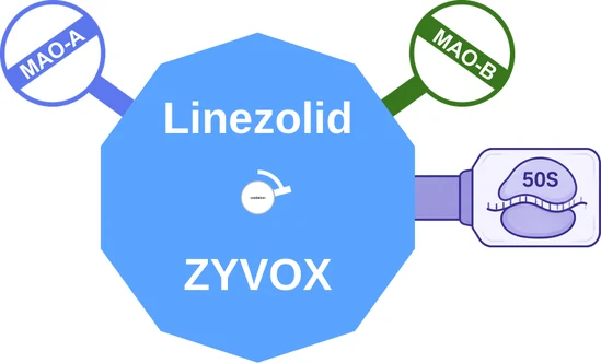 Linezolid ballicule — decagon mechanism diagram