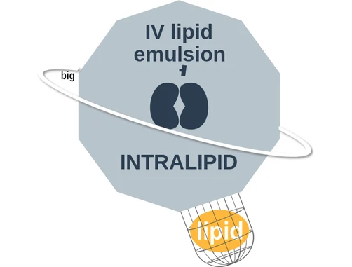 IV lipid emulsion ballicule — decagon mechanism diagram