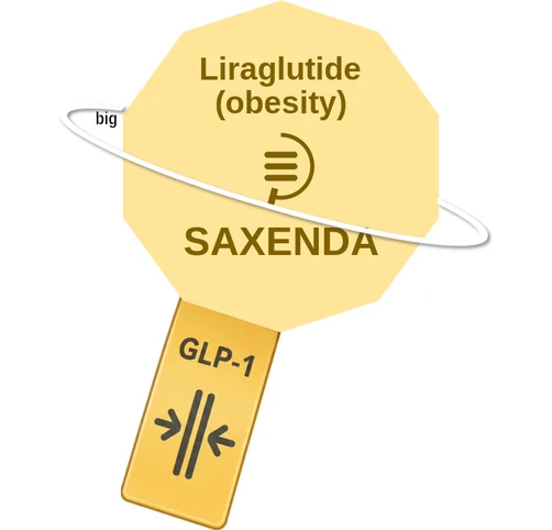 Liraglutide (obesity) ballicule: receptor binding, kinetics and half-life diagram