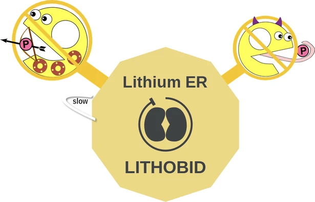 Lithium ER ballicule: receptor binding, kinetics and half-life diagram
