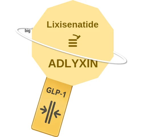 Lixisenatide ballicule: receptor binding, kinetics and half-life diagram