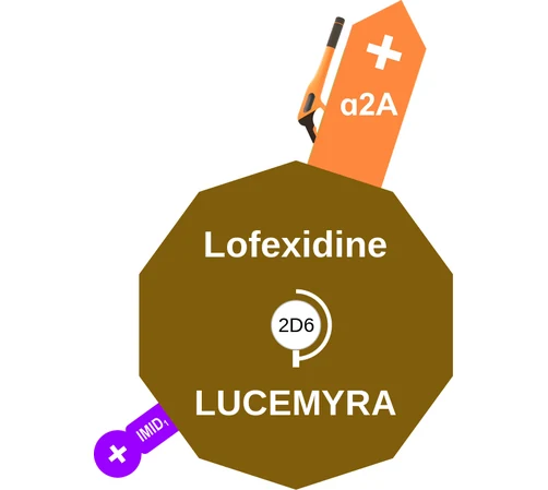 Lofexidine ballicule: receptor binding, kinetics and half-life diagram