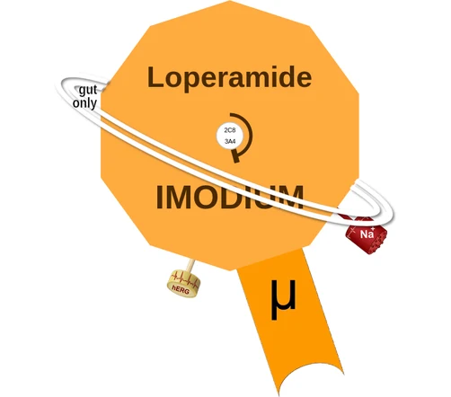 Loperamide ballicule: receptor binding, kinetics and half-life diagram