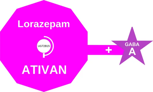 Lorazepam ballicule — decagon mechanism diagram